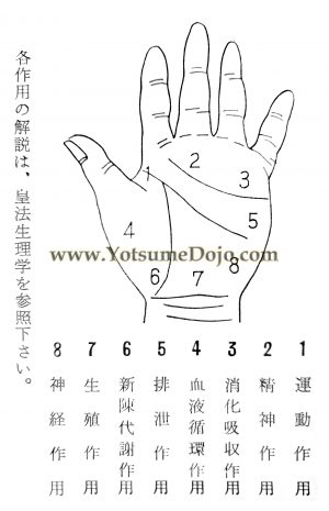 Shushō Shindan-Hō 手掌診断法 (Palm Diagnostic Method)