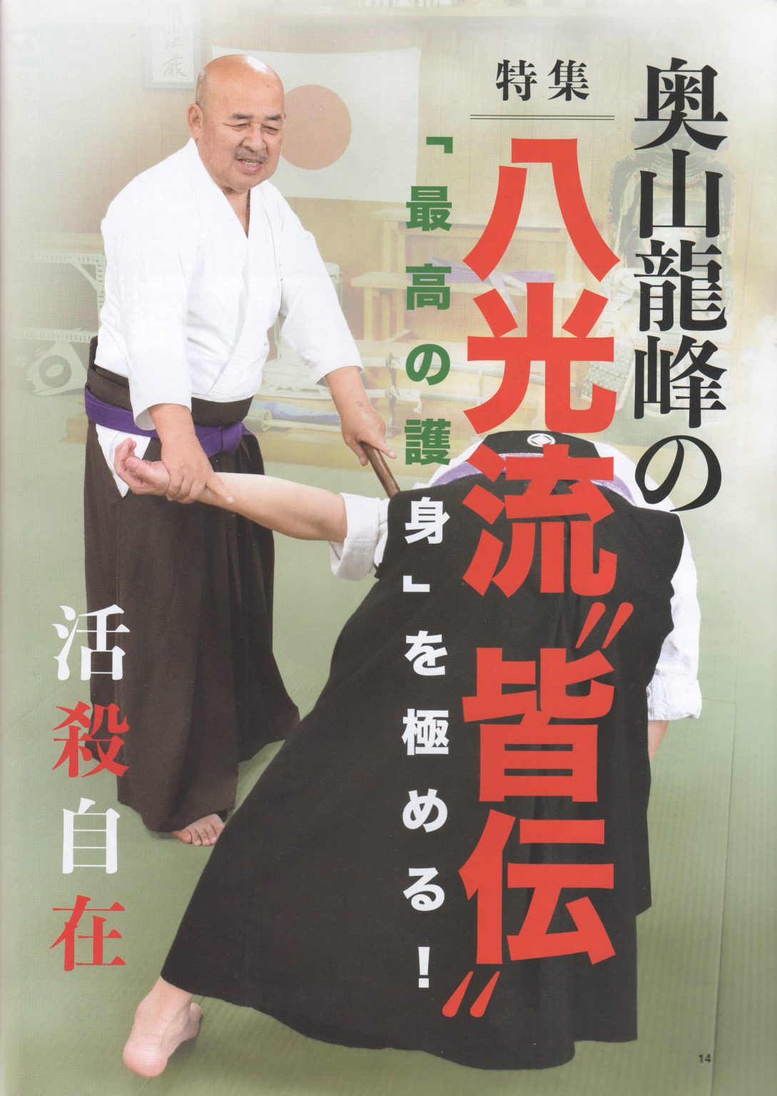 Hakko Ryu Yotsume Dojo