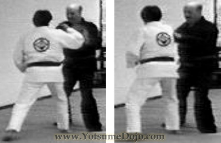 Jigen Ryu - Yotsume Dojo