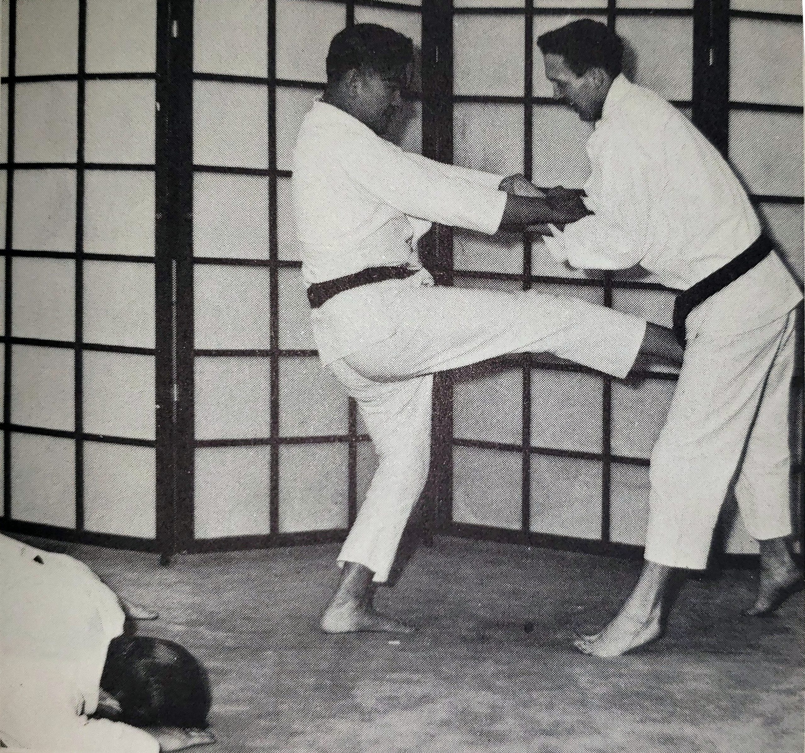 Naraki Hara Ninin Dori 004