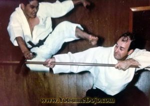 Ansei Ueshiro 安盛宇江城 002