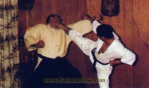 Ansei Ueshiro 安盛宇江城 003