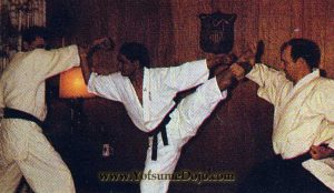 Ansei Ueshiro 安盛宇江城 004